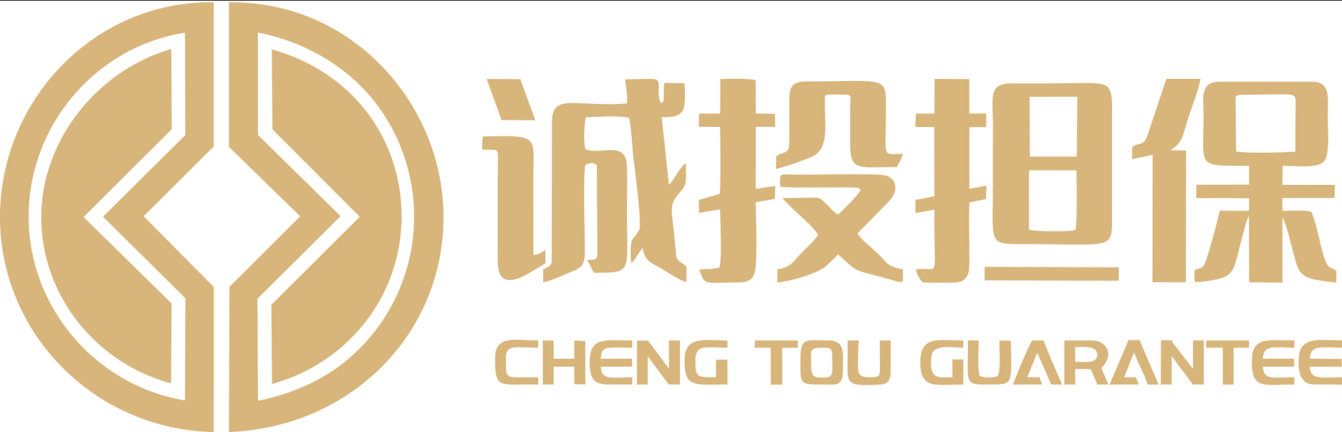 广东诚投工程项目担保有限公司